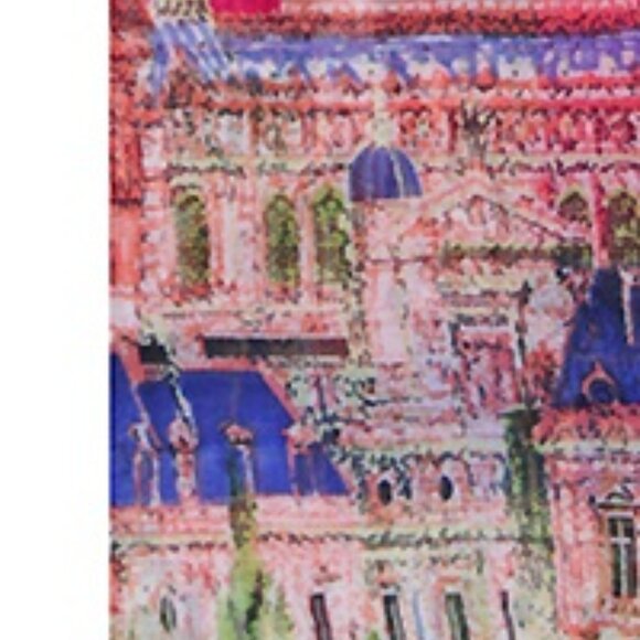 Scarf - City in Europe Printed Oblong Scarf - Pink new - Picture 3 of 3